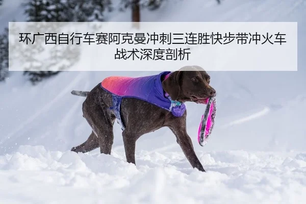 环广西自行车赛阿克曼冲刺三连胜快步带冲火车战术深度剖析